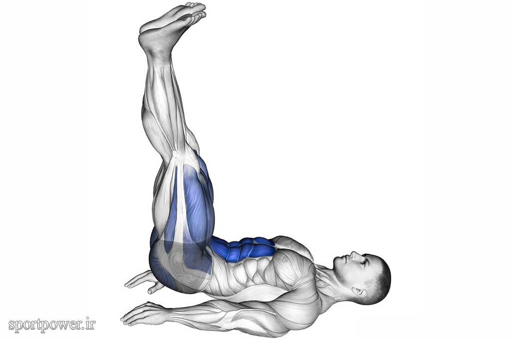lying floor leg raise for abdominal muscles - Sport Power